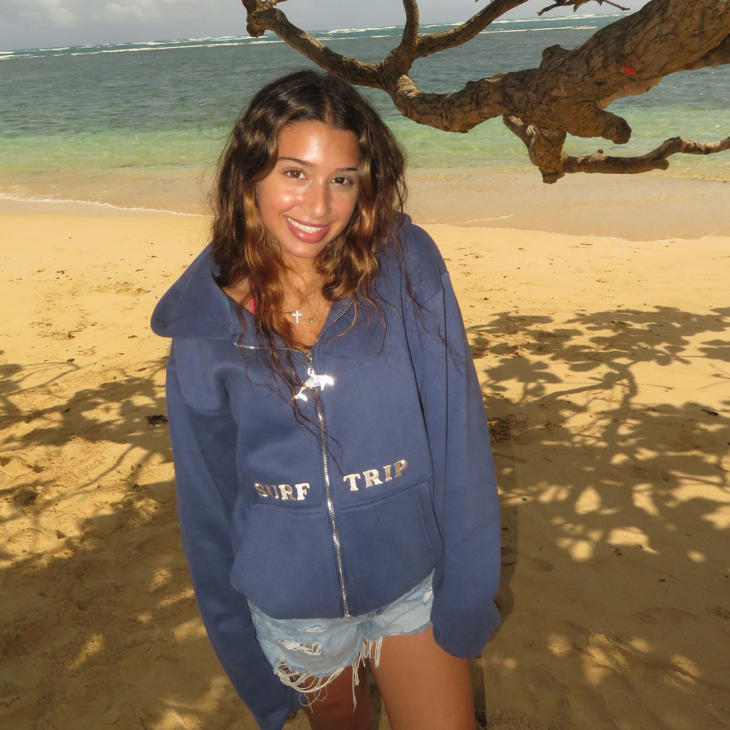 Dolphin Hoodie