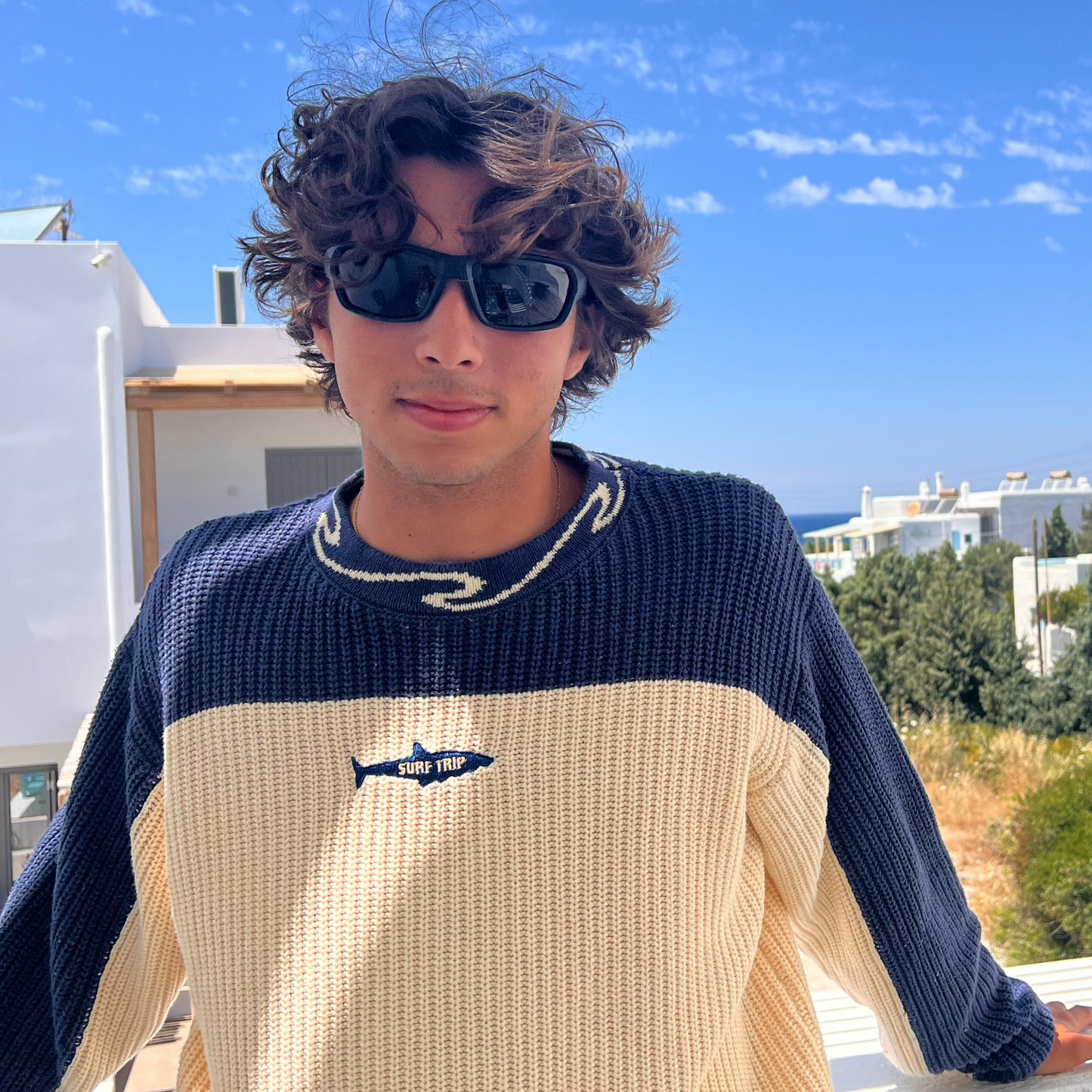 Shark Knit Sweater Navy INFLUENCER ONLY