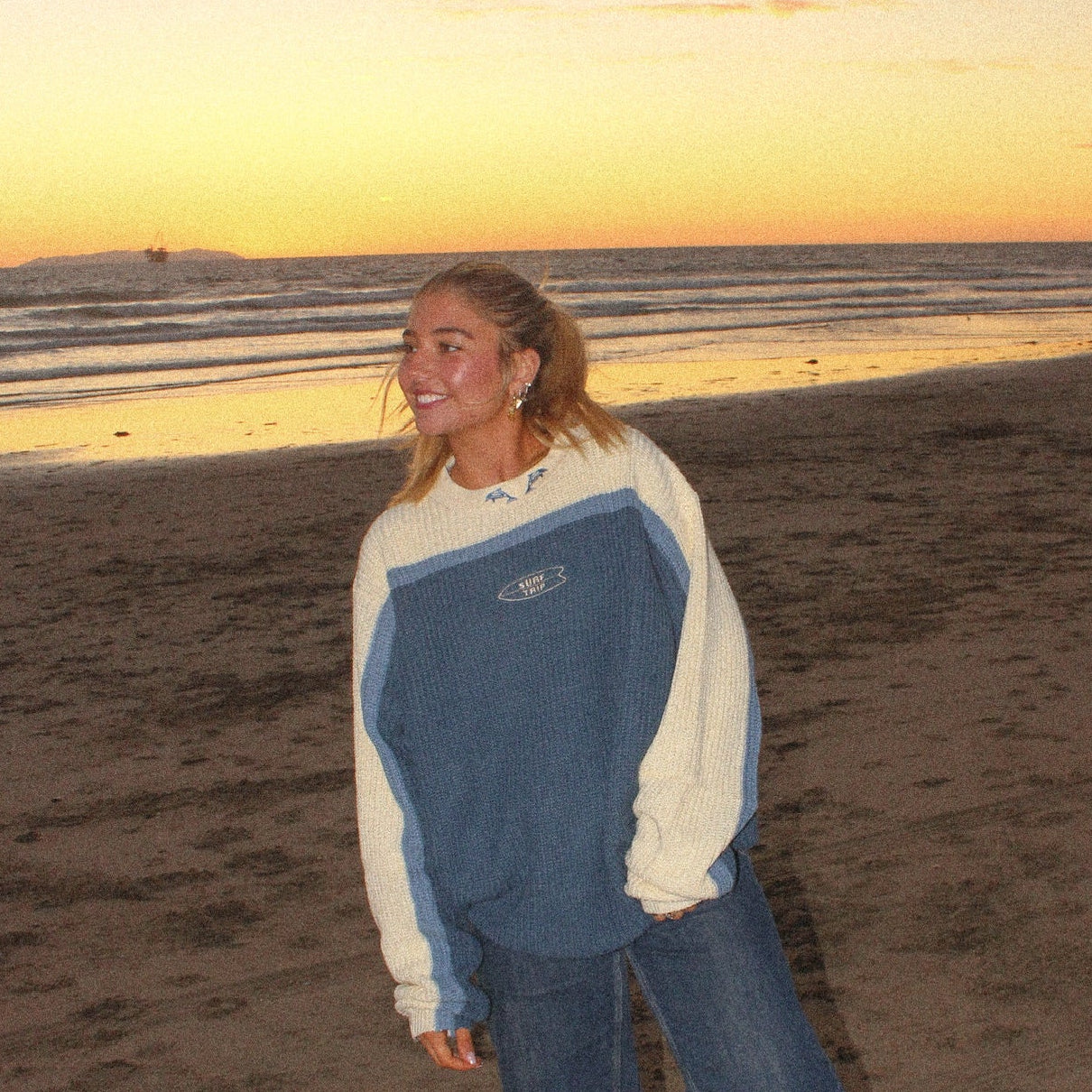 Dolphin Knit Sweater Blue