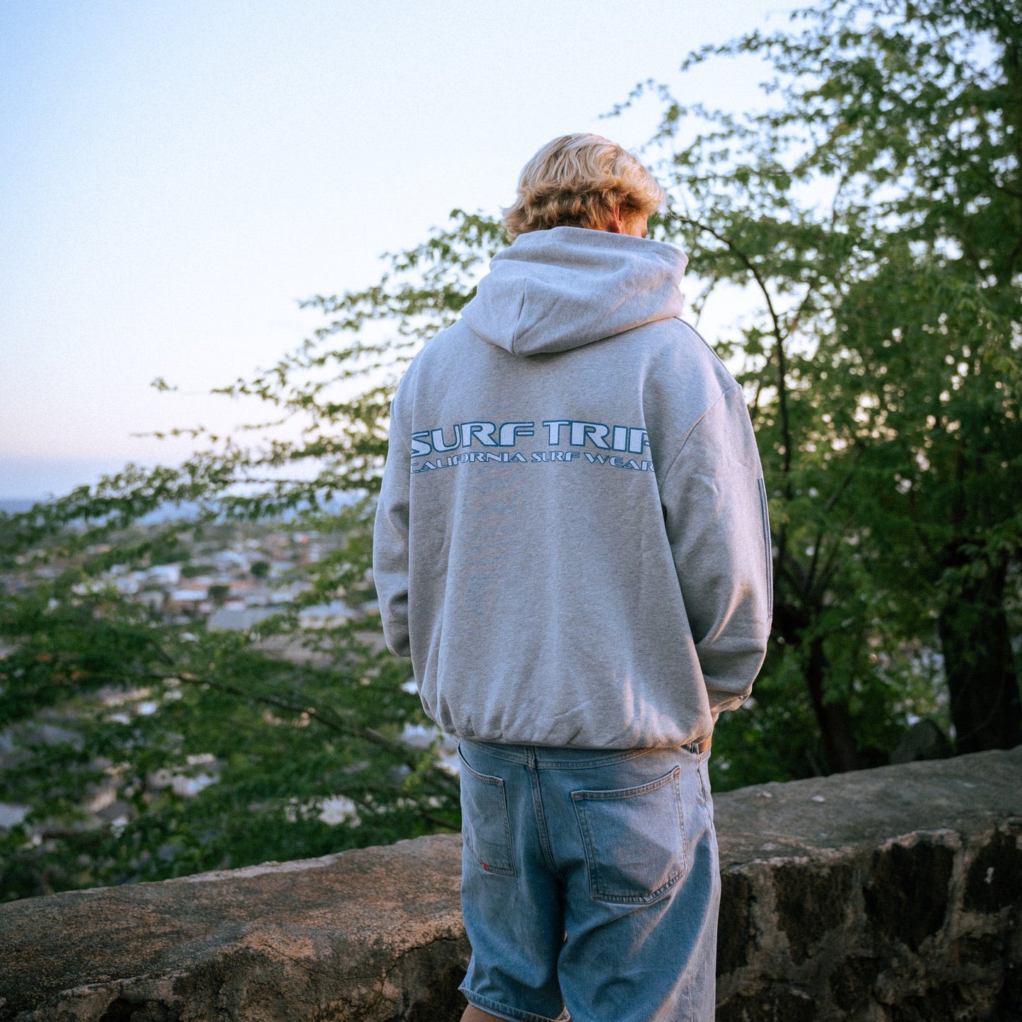 Plaid Hoodie Preorder