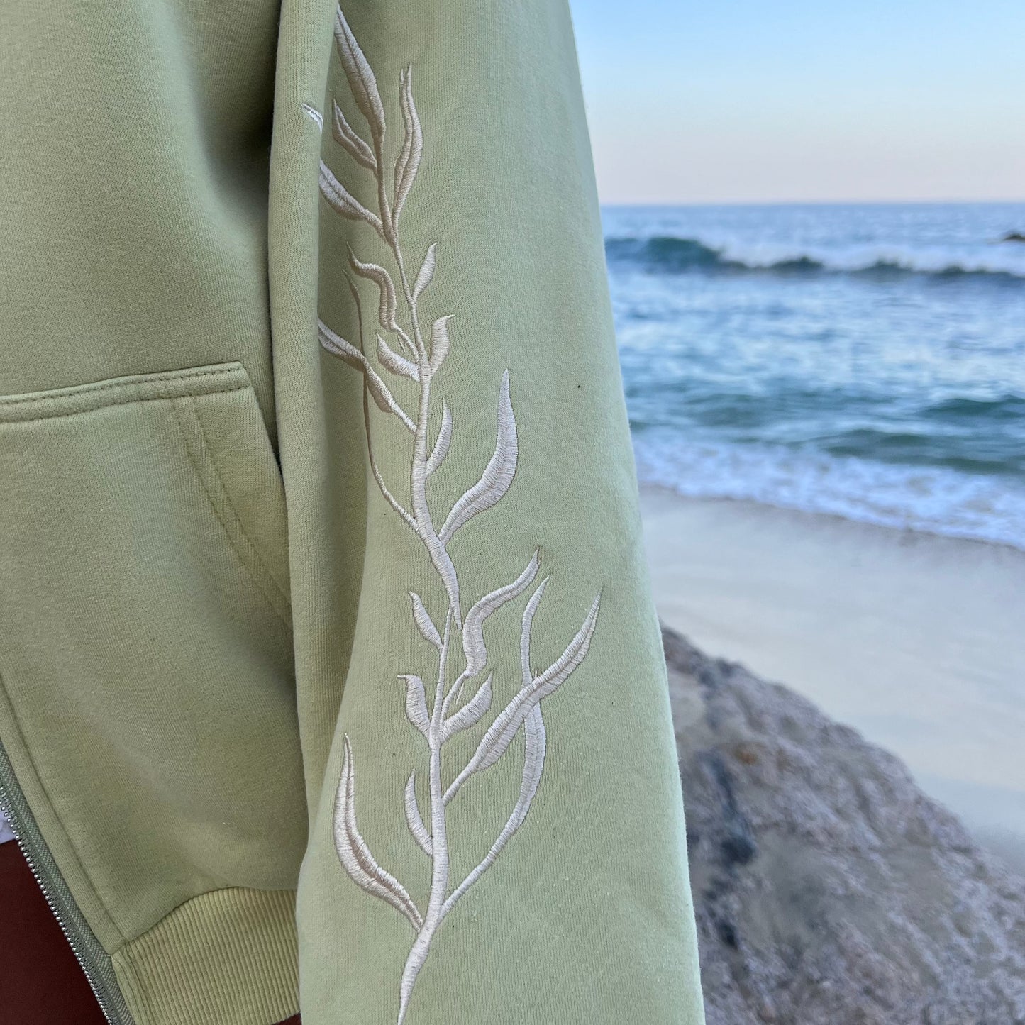 The Turtle Embroidered Hoodie