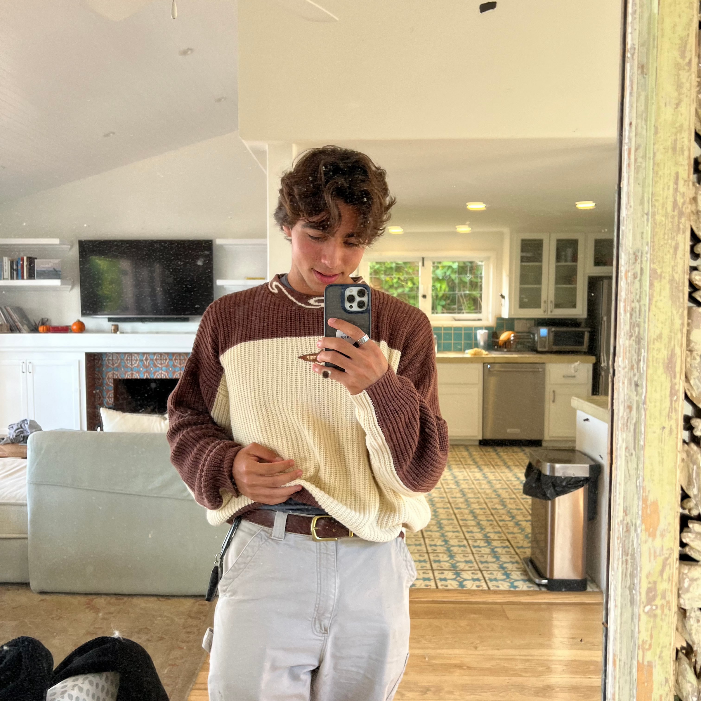 Shark Knit Sweater Brown
