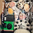 Lunch Box