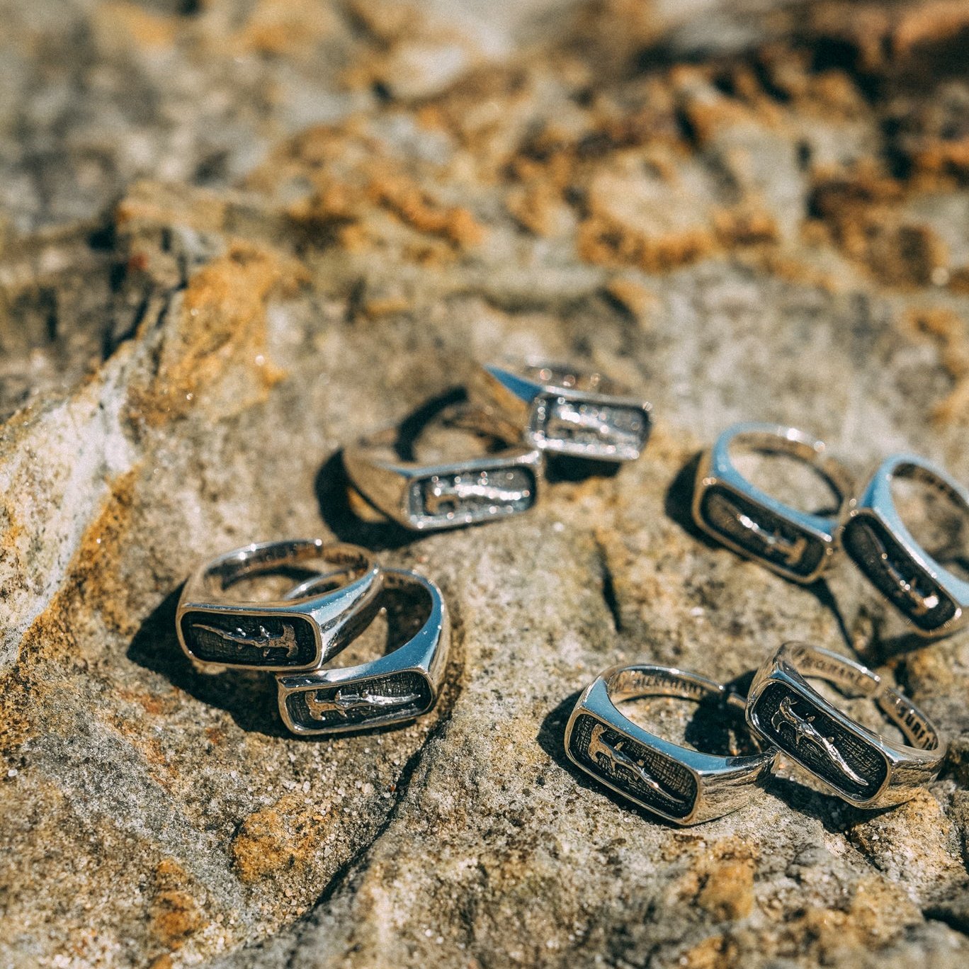 Shark Ring | Surf Trip X Royale Merchant - Surf Trip Supply